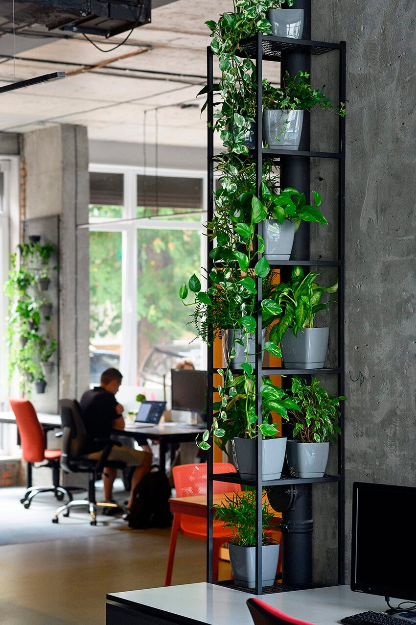 Biophilic design in office spaces 12 1