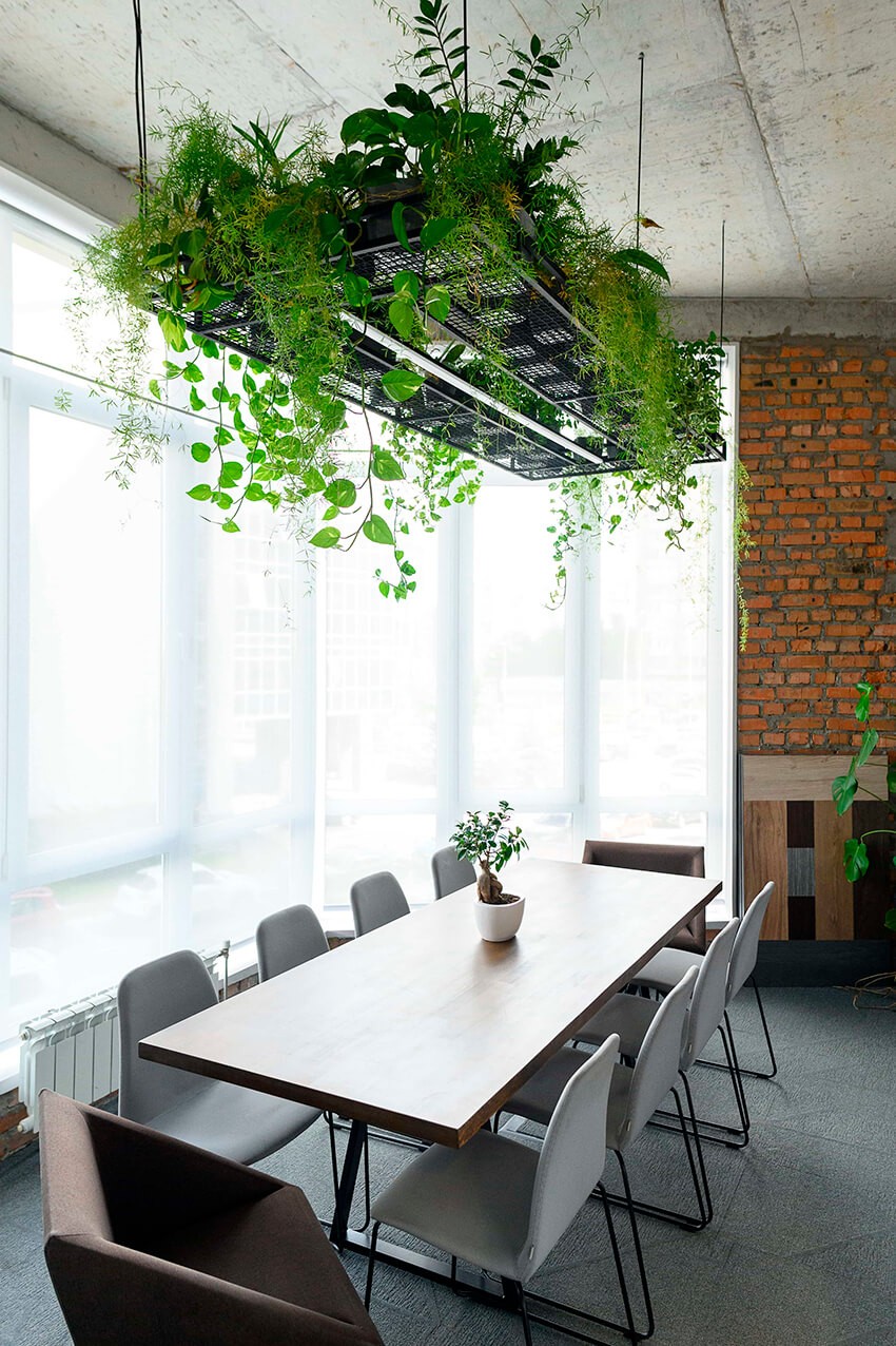 Biophilic design in office spaces 12 2